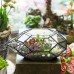Indoor Decor Geometric Glass Terrarium Plant Planter Flower Pot Christmas Gift 711978548080  152700787118